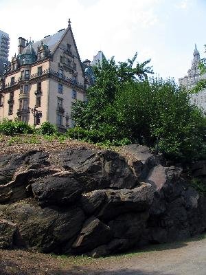 Central park NYC 01.JPG